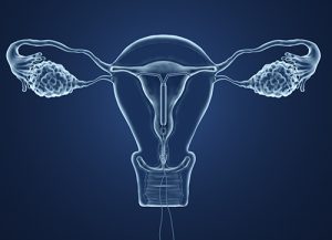 X-rag of the uterus on a blue background, Gynecology, Houston TX